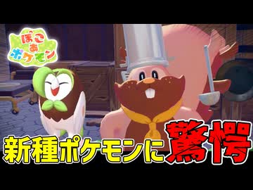 最近のポケモン達、インパクトが強すぎるｗｗｗ【ぽこあポケモン】#11