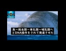 念法日月干支消ししゃち靈現様が世界中のすべての人々を御救いになる(2)