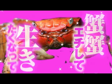 カニっとホール