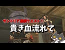 【⚔轟くFF11】サンドリア連続クエスト①「貴き血流れて」【復帰プレイ#311】