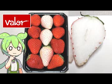 バローの果物コーナーにあった「白いちご」