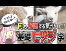 【コント】何も解説する気がない！基礎ヒツジ学