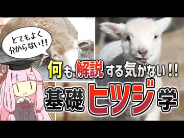 【コント】何も解説する気がない！基礎ヒツジ学