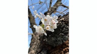 高橋英則・山上佳之介のH＠Y Planning　第36回おまけ