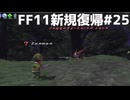 兎の護符を狙う FF11新規復帰#25