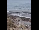 A U.S.-made AEGIR-W unmanned surface vessel by Sierra Nevada Corporation has washed ashore on the