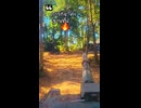 Additional Royal Thai Army VT-4 combat footage I found, engaging enemy positions