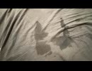 めじろう♡449カップルがベッドから離れたらシーツがビショビショになっていることが判明。めじろうが匂いを嗅いで確認　※ちょうどめじろうが寝ていた股○の位置【2025/12/06】