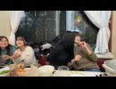 【めじろう38歳】449（17歳）とキスしてニヤけが止まらず♡【2025/12/6】