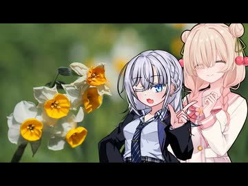 【ソフトウェアトーク車載】ゆるっとドライブ！中国地方を行こう～兵庫県淡路島編～【しゅおりり】