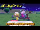 ぽこあポケモン　ナカヌチャンを仲間にする方法　マンホール点検中（まっさらな街）　＃４３０　【ぽこポケ】
