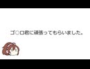 ゴ○ロ君に頑張ってもらいました。-幕間- 九州紀行2.5【手抜き車載祭】
