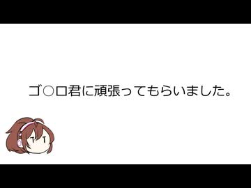 ゴ○ロ君に頑張ってもらいました。-幕間- 九州紀行2.5【手抜き車載祭】