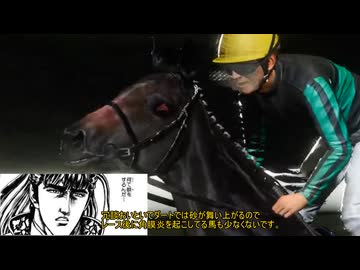 【WP10 2025】頭メジロ ⑧1980