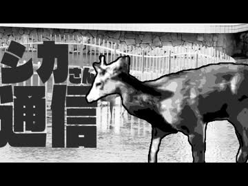 シカ通信