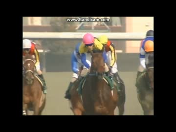 2004 毎日杯 (GⅢ) キングカメハメハ - ニコニコ動画