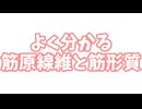 【春日部先生の筋トレ解説】筋原線維と筋形質