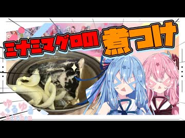 【どこの部位？】ミナミマグロの煮つけつくるやで！【琴葉姉妹】