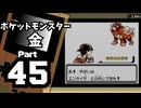 【ポケットモンスター金】ジョウト図鑑完成を目指して Part45【図鑑集め①】