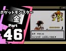 【ポケットモンスター金】ジョウト図鑑完成を目指して Part46【図鑑集め②】