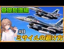 【DCS World】【Part0】基本的なミサイルの回避方法　基礎知識を解説します！