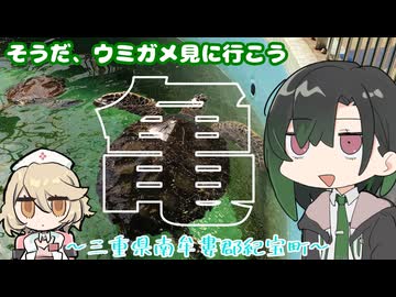 そうだ、ウミガメ見に行こう【唯世かのん誕生祭2026】