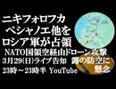 3月29日(日)ライブ告知　ロシア軍がペシャノエ、ニキフォロフカ他を解放　レニングラード州へNATO国上空を経由しドローン攻撃　露防空に懸念