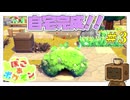理想の暮らしを求めて街を整える ぽこあポケモン #3｜自宅完成と新たな目標【まったりゲーム喫茶】