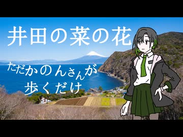 【唯世かのん誕生祭2026】ただかのんさんが歩くだけ【井田の菜の花】