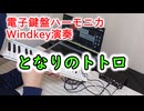 となりのトトロ【電子鍵盤ハーモニカWindkey演奏】