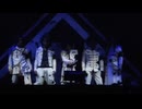 the GazettE - 貴女ノ為ノ此ノ命。『十五周年記念公演 大日本異端芸者『暴動区 愚鈍の桜』』2017.03.10 国立代々木競技場第一体育館