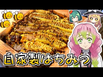 【鬼滅の刃】半年たってやっと作れました…巣蜜パンケーキ【ゆっくり実況】