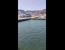 横須賀市の久里浜港出発の東京湾フェリーに釣り竿とリールと釣り針と仕掛けと釣り糸と釣り餌を持ち込んで、出向前に釣りを楽しむことは可能なのだろうか？何か釣れるかな？ブラックバスとかブルーギルとか淡水魚？