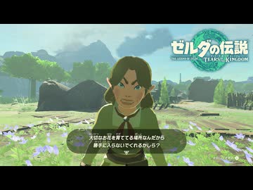 【ゼルダの伝説 ティアーズ オブ ザ キングダム】女神の剣は王国と共に泣く#55