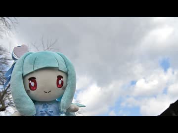 【手抜き車載祭】寄り道とお買い物