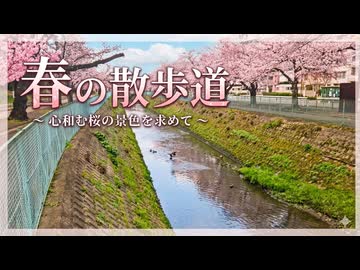 いい日旅立ち♬