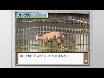 野生の鹿さんに勝利！