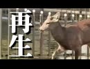 シカ再生