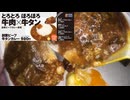 1480円の松屋のうまトマハンバーグ創業ビーフ牛タンカレーを食べました。　#松屋　#うまトマ　#ハンバーグ　#ビーフ　#牛タン　#カレー