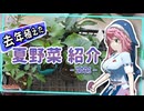 去年、ウチで育ててた夏野菜を紹介します - 2026 -