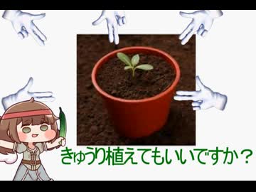 きゅうえもん・えかきうた