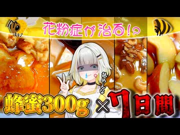 【一週間】専門医が卒倒する花粉症対策！２kg蜂蜜で花粉症治療実験！【紡乃世詞音/ボイスロイド】