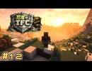 【Minecraft】忍者がTFC # 12【TerraFirmaCraft】