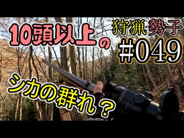 狩猟勢子動画＃049　10頭以上のシカの群れ？