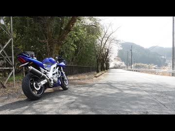 2026 Salvage Touring Report 1