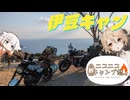 【XSR125】初めてのお泊り伊豆キャンプ【ニコニコキャンプ祭】