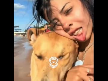 ホモと見るよそ見してぶつかってくる犬