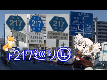 【ついなちゃん車載】都道府県道217号巡礼の旅に付き合わされるついなちゃん 第四夜