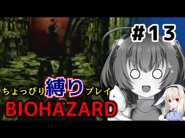 ちょっぴり縛りで【バイオハザード】を一人と一羽がプレイ part13