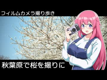 【LC-A】秋葉原の桜を撮りに【フィルムカメラ撮り歩き】